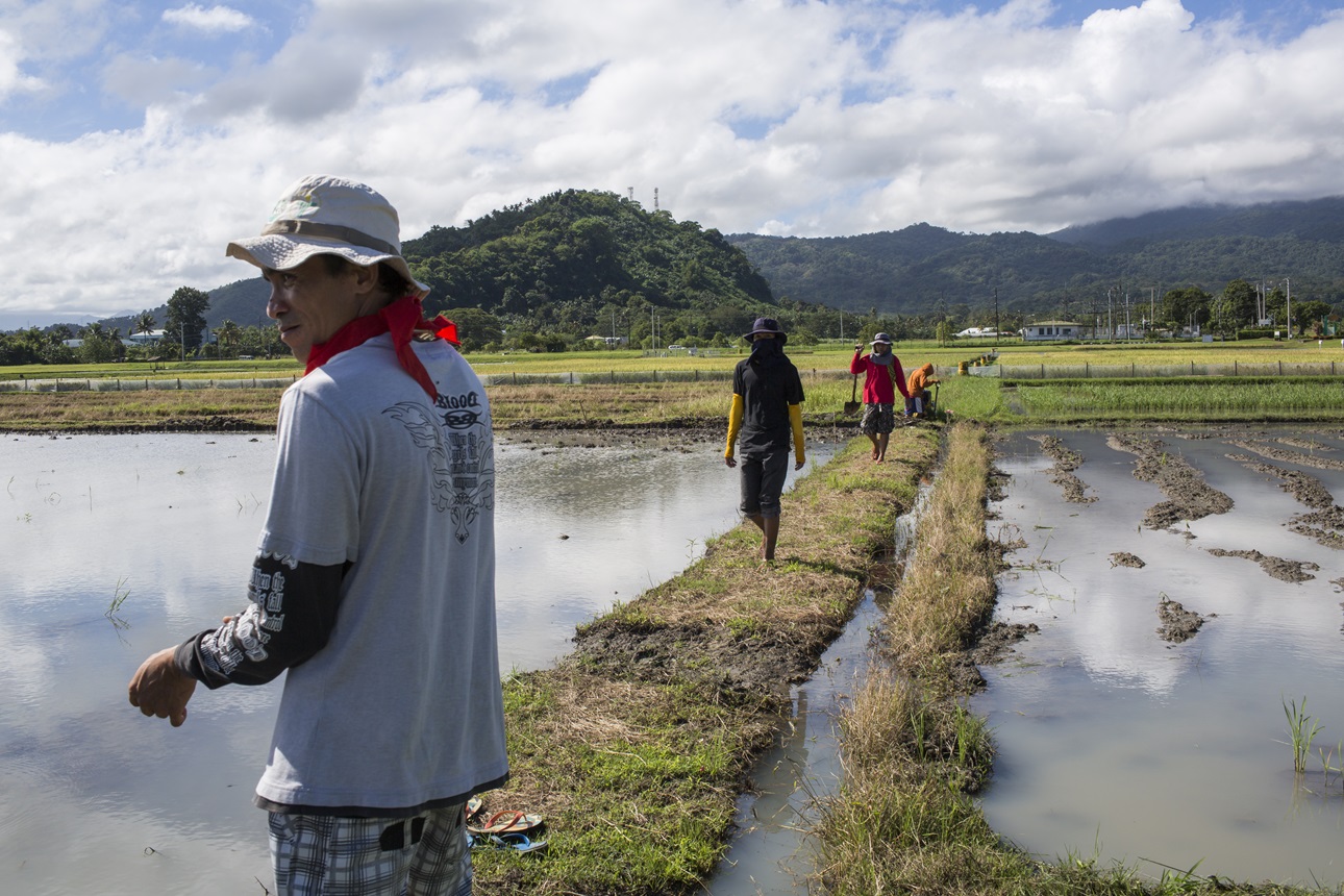 Farmers attend to plots in Los Baños, Laguna, Philippines