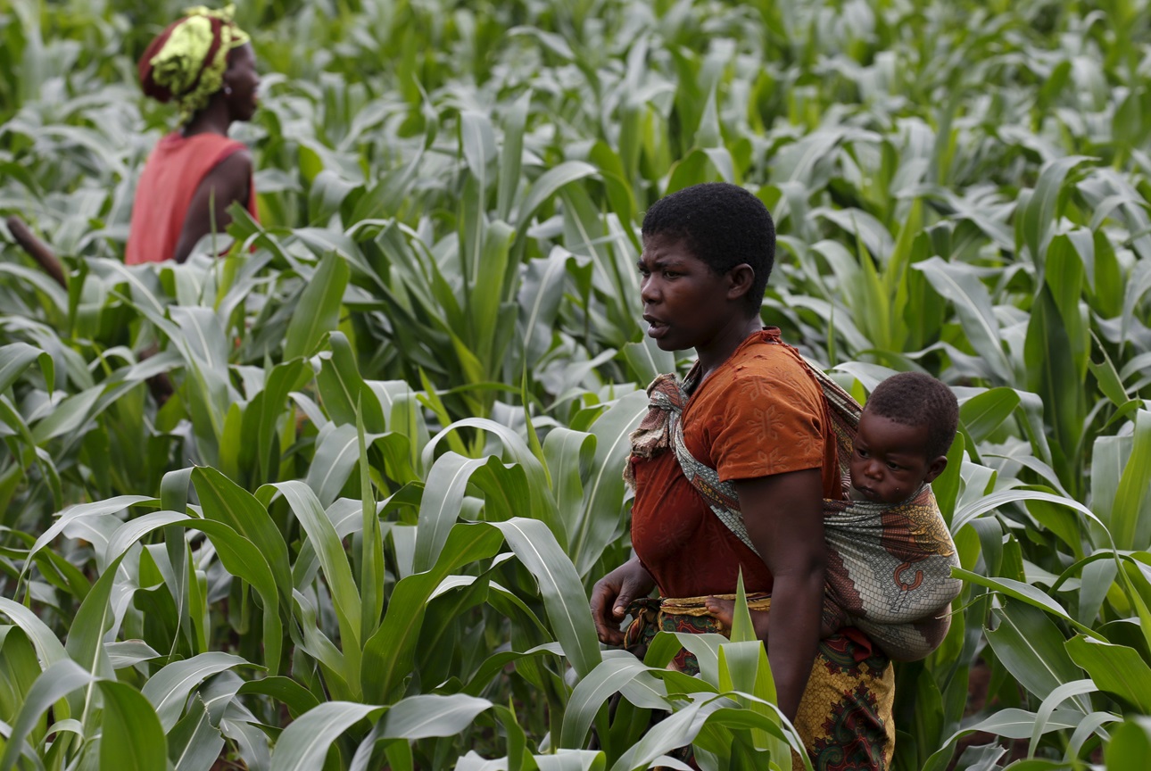 This article, part of an Exemplars News series on respectful care, highlights Malawi’s efforts to reduce maternal mortality and increase facility-based deliveries by improving the quality of care