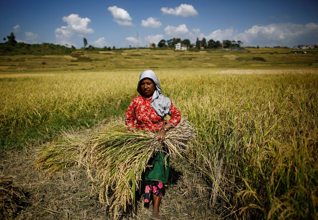 Farmers need help raising productivity and improved access to markets, food security advocates say.