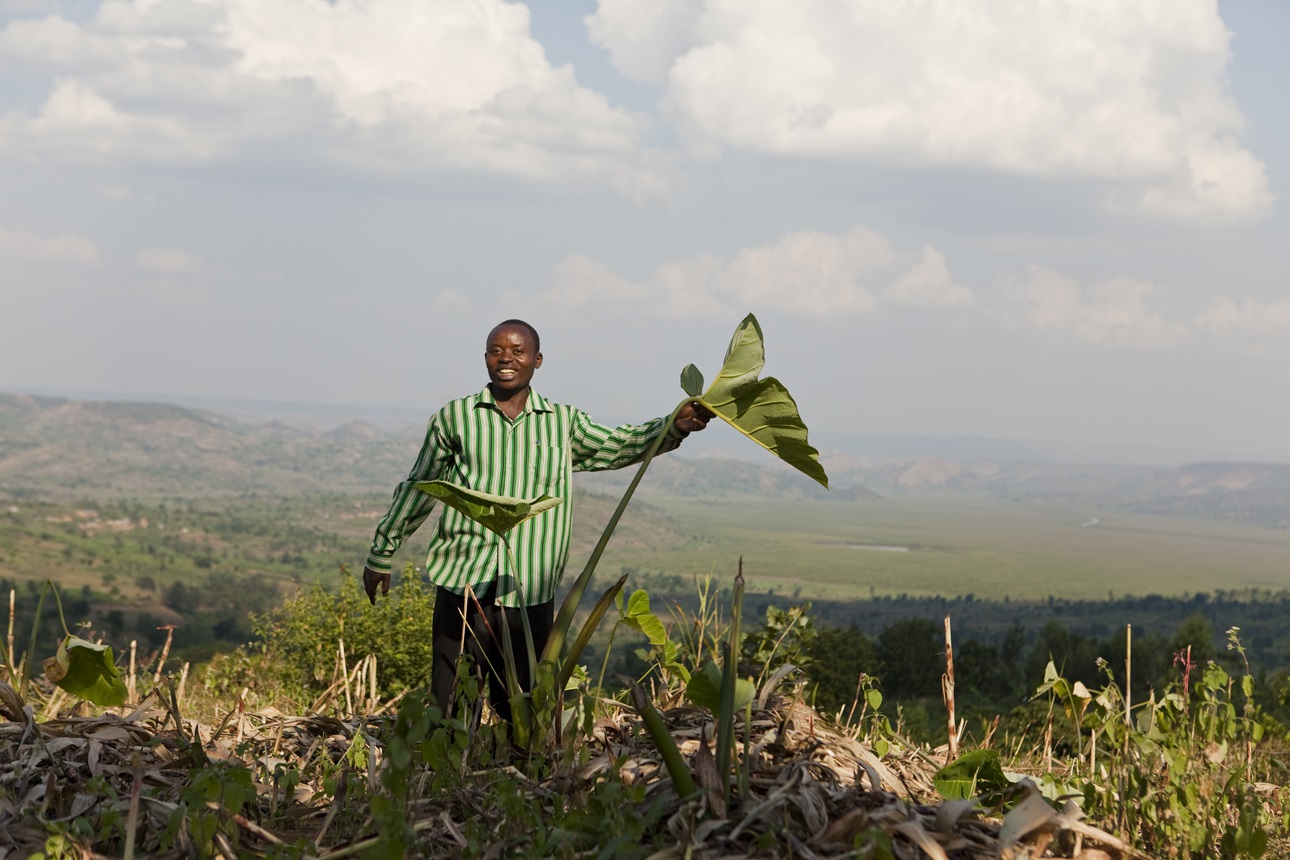 Euaryste Tugirinshuru (32), president of the cooperative bvuri mbere, stands in a field near hishome in the Kirehe district, Rwanda on June 22, 2010.